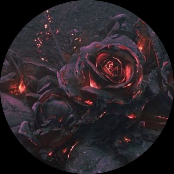 blacken_roses
